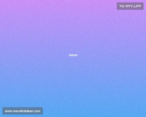 火箭赛程一览表